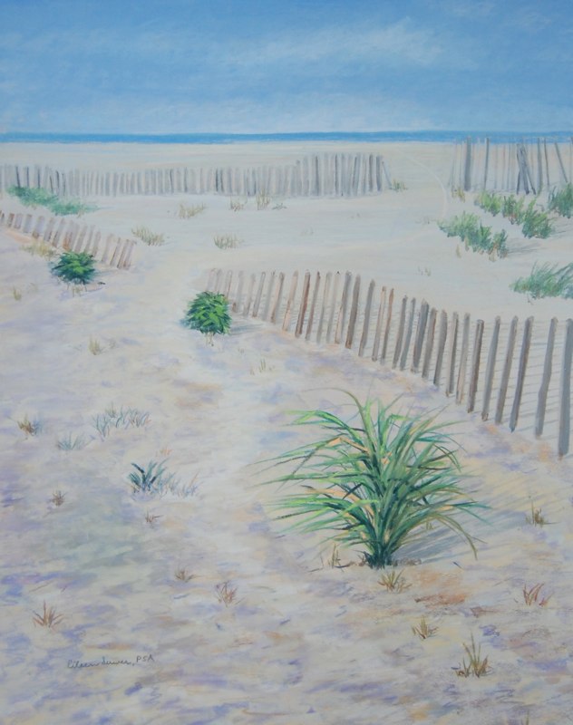 Beach Fences